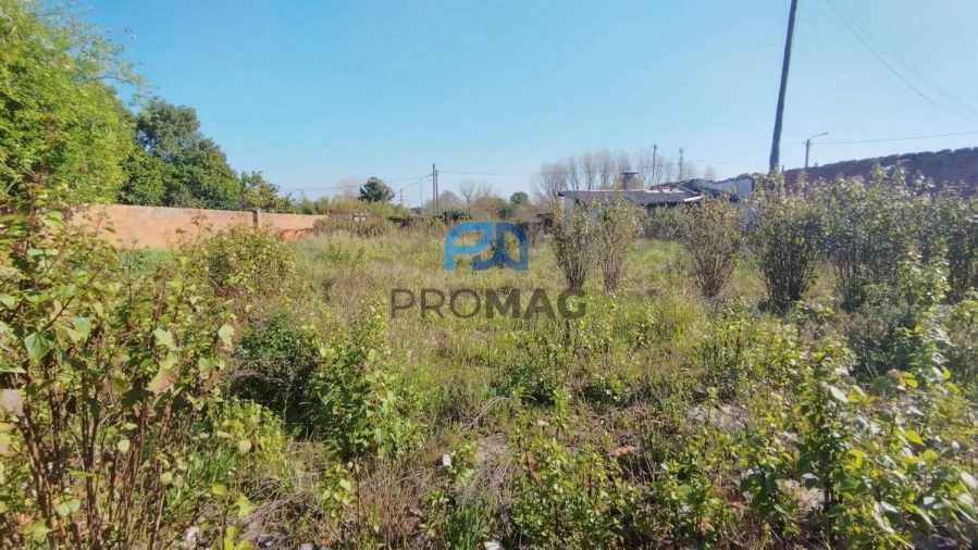 Terreno para Venda em Ovar, São João, Arada e São Vicente de Pereira Jusã Foto 8