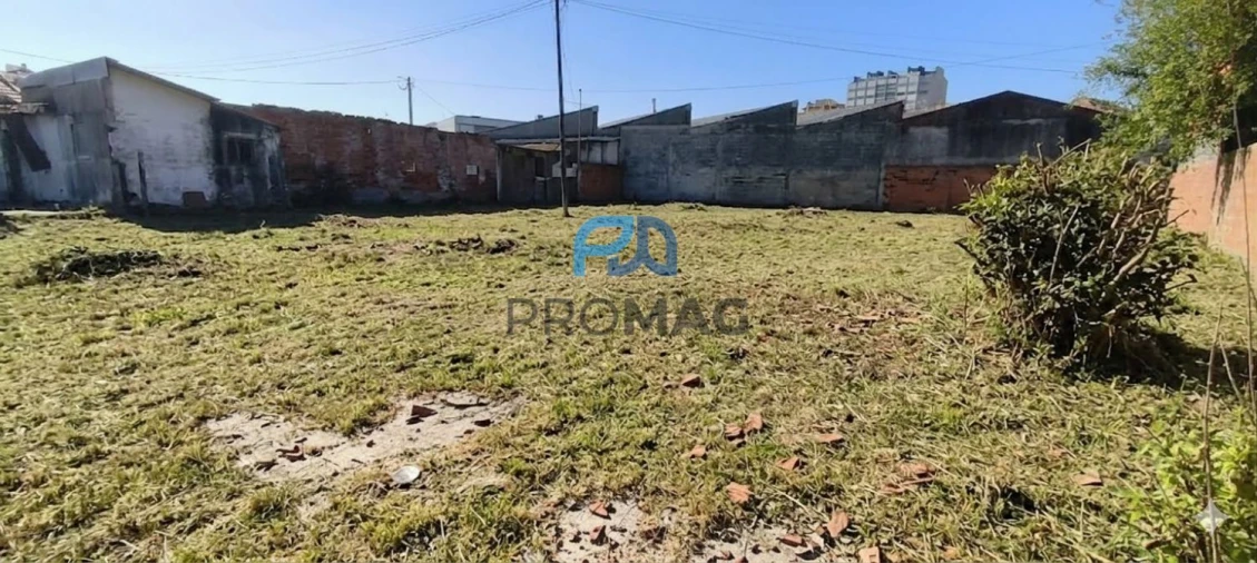 Terreno para Venda em Ovar, São João, Arada e São Vicente de Pereira Jusã Foto 3