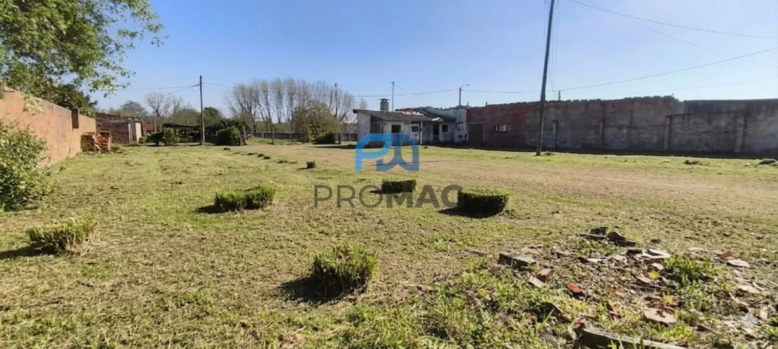 Terreno para Venda em Ovar, São João, Arada e São Vicente de Pereira Jusã Foto 4