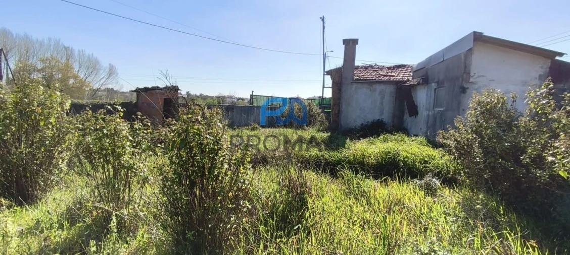 Terreno para Venda em Ovar, São João, Arada e São Vicente de Pereira Jusã Foto 9