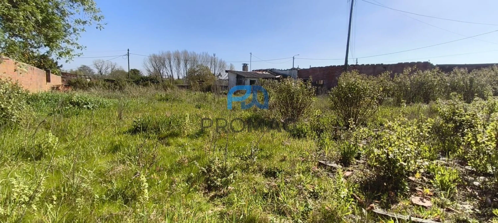 Terreno para Venda em Ovar, São João, Arada e São Vicente de Pereira Jusã Foto 6