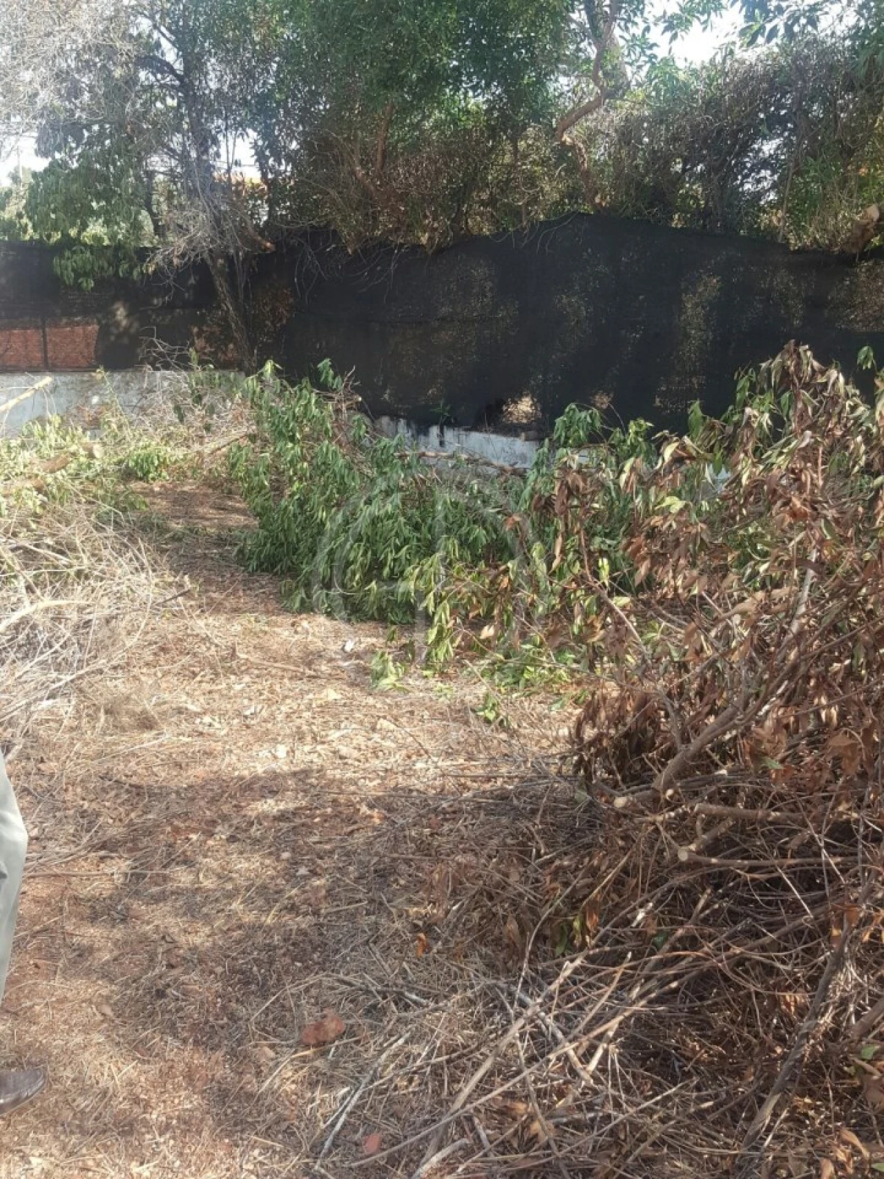 Moradia T3 para Venda em Almancil Foto 18