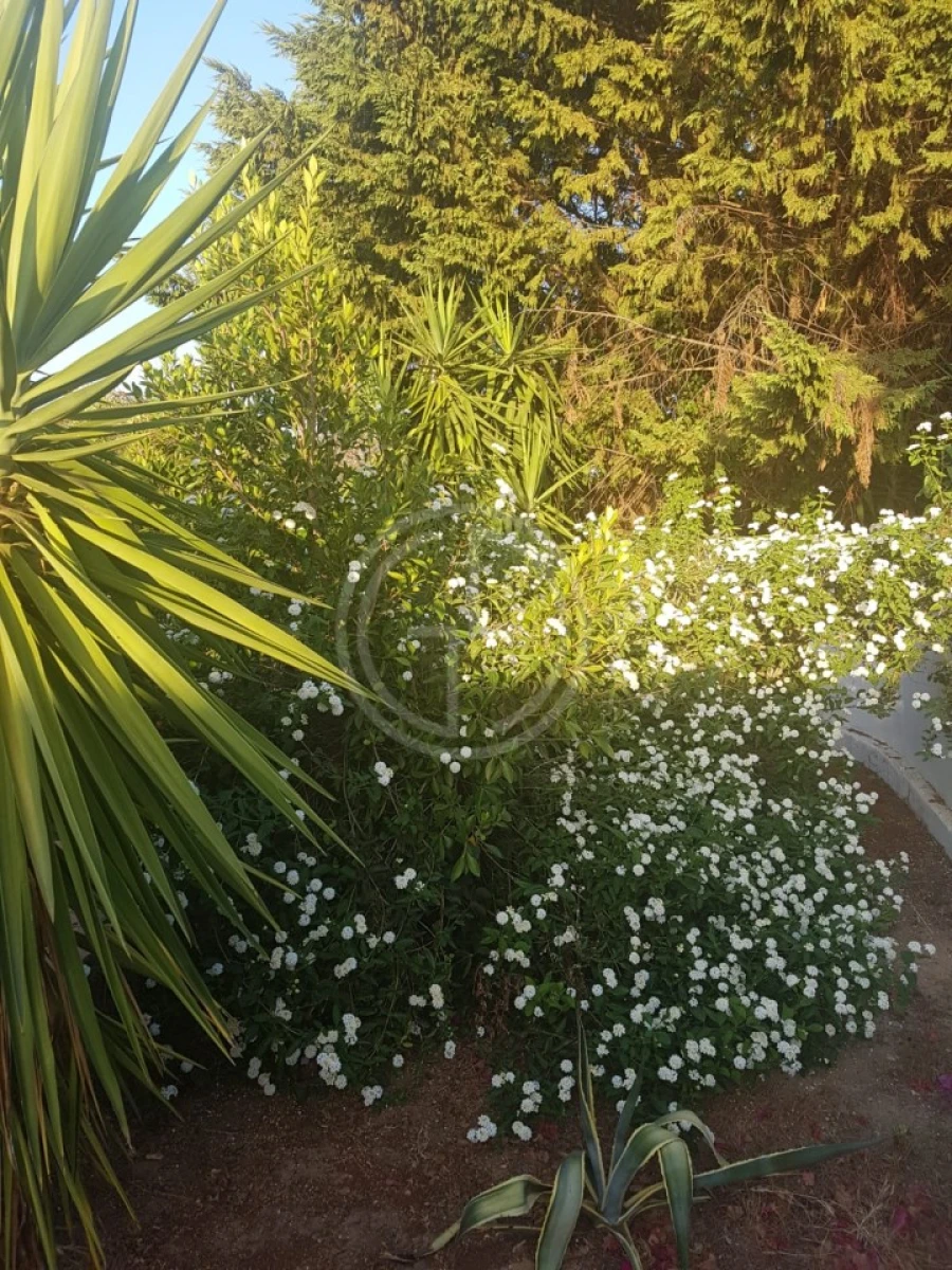 Moradia T3 para Venda em Almancil Foto 15