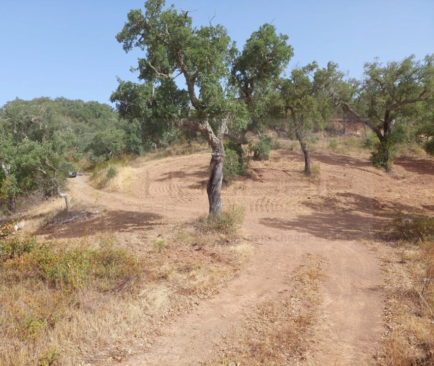 Terreno Agricola ou Rústico para Venda em Grândola e Santa Margarida da Serra Foto 9