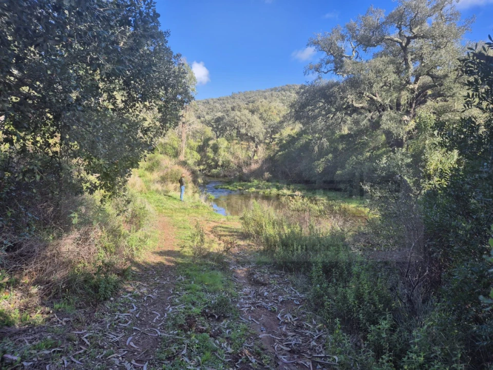 Terreno Agricola ou Rústico para Venda em Grândola e Santa Margarida da Serra Foto 1