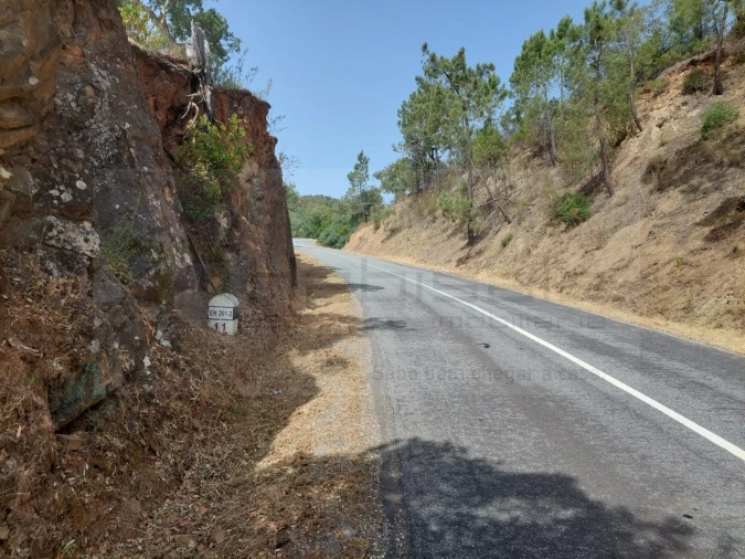 Terreno Agricola ou Rústico para Venda em Grândola e Santa Margarida da Serra Foto 5