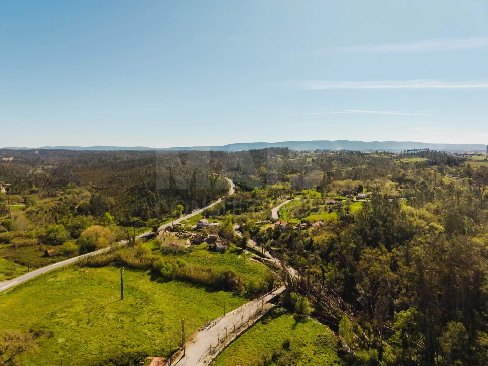 Terreno para Venda em Coz, Alpedriz e Montes Foto 9