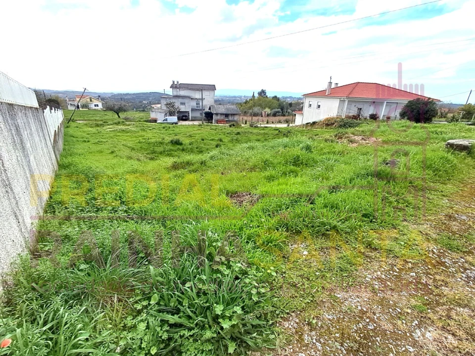 Terreno para Venda em Covas e Vila Nova de Oliveirinha Foto 7