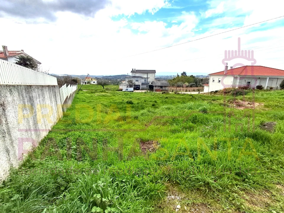 Terreno para Venda em Covas e Vila Nova de Oliveirinha Foto 15