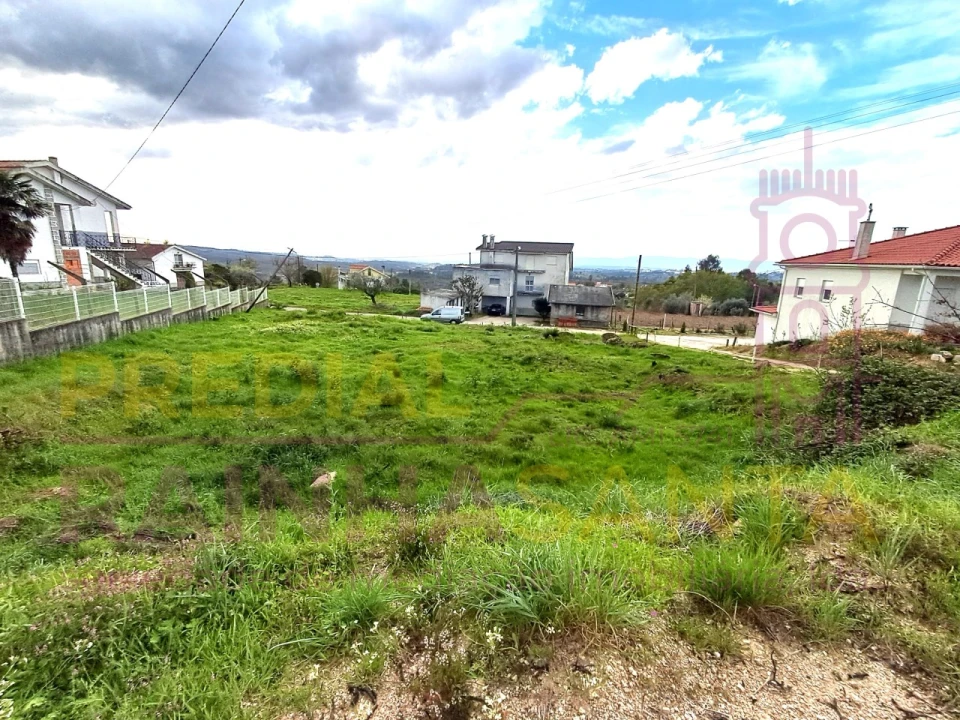 Terreno para Venda em Covas e Vila Nova de Oliveirinha Foto 9