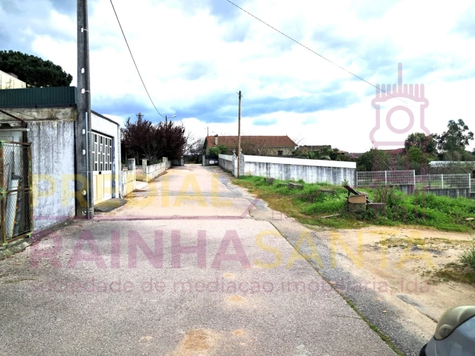 Terreno para Venda em Covas e Vila Nova de Oliveirinha Foto 5