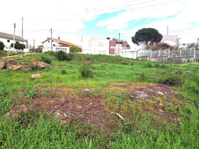 Terreno para Venda em Covas e Vila Nova de Oliveirinha Foto 3