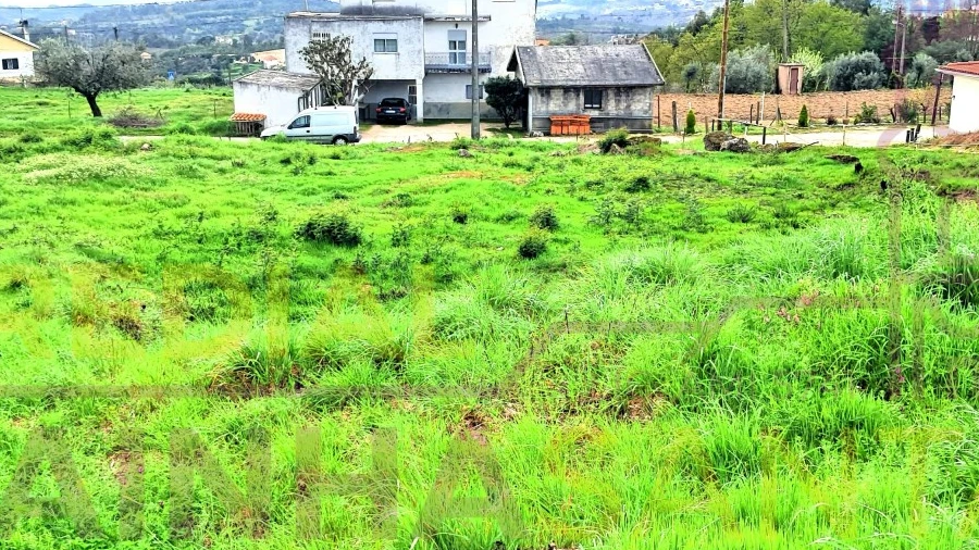 Terreno para Venda em Covas e Vila Nova de Oliveirinha
