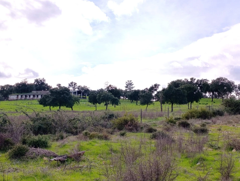 Moradia T11 para Venda em Bemposta Foto 22