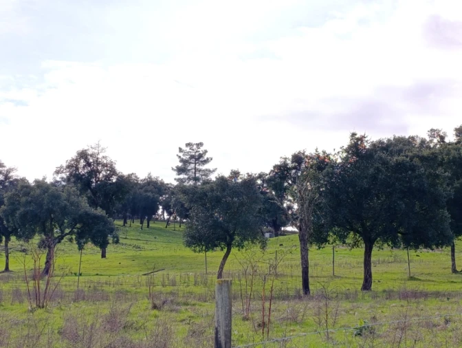 Moradia T11 para Venda em Bemposta Foto 18