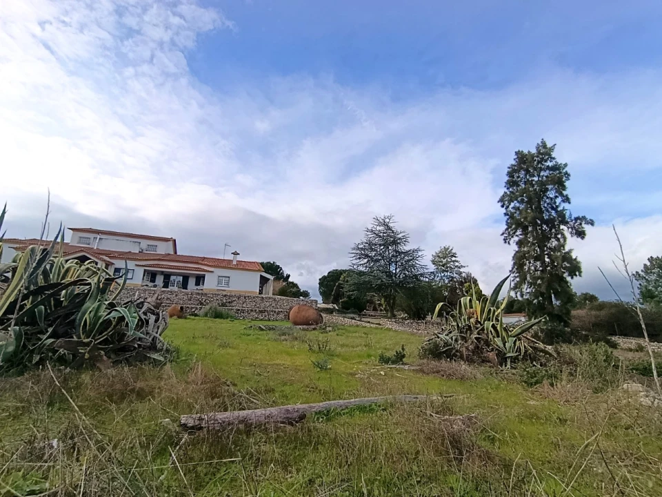 Quinta T11 para Venda em Bemposta Foto 38