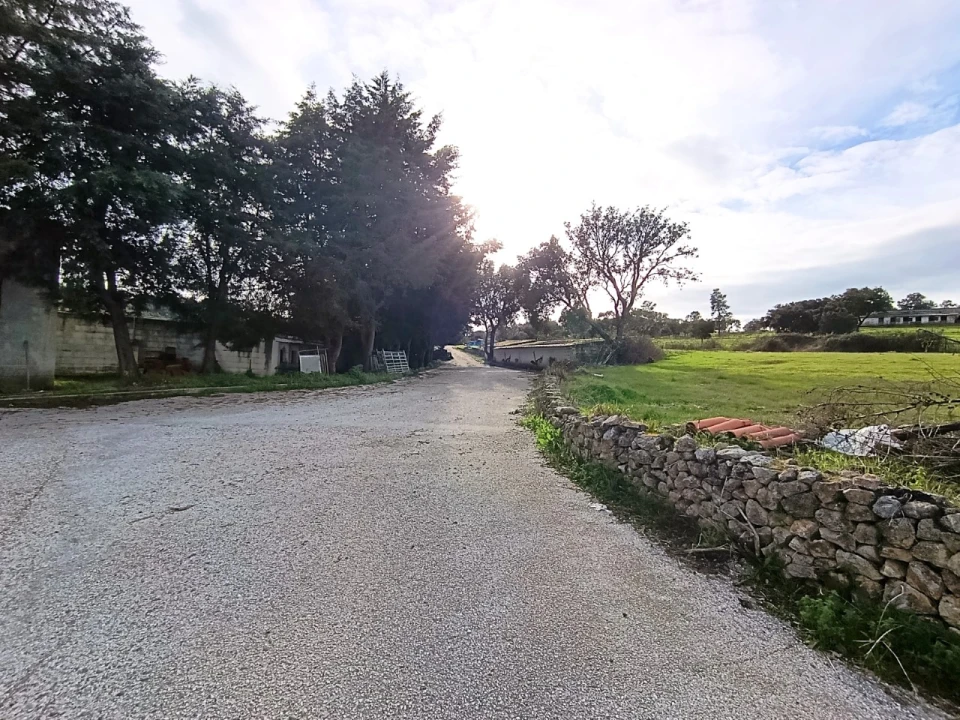 Quinta T11 para Venda em Bemposta Foto 55