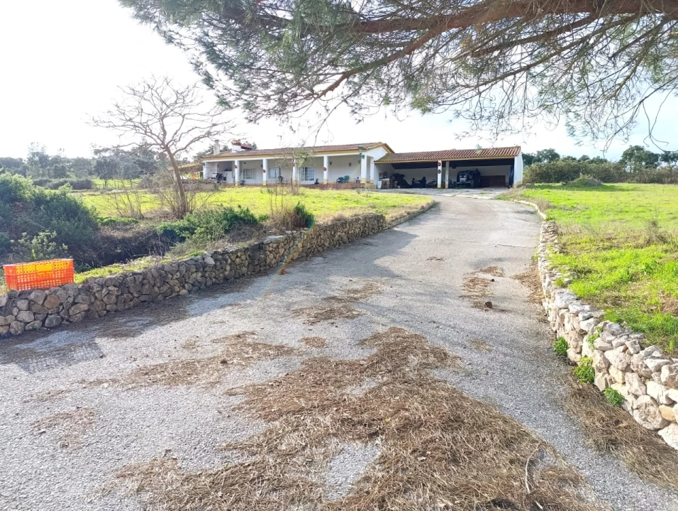 Quinta T11 para Venda em Bemposta Foto 60