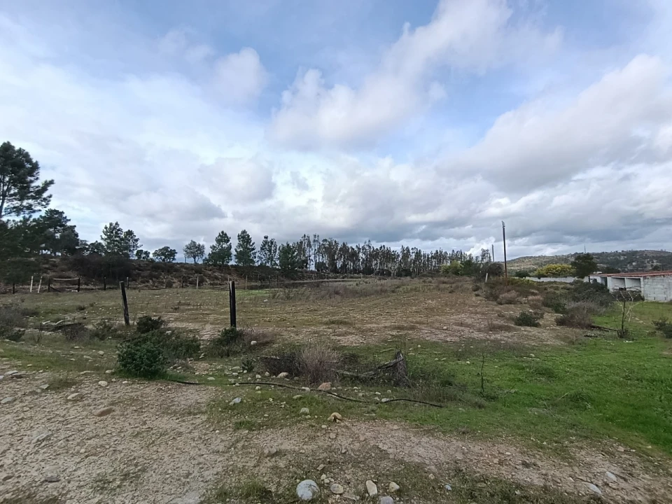 Quinta T11 para Venda em Bemposta Foto 69