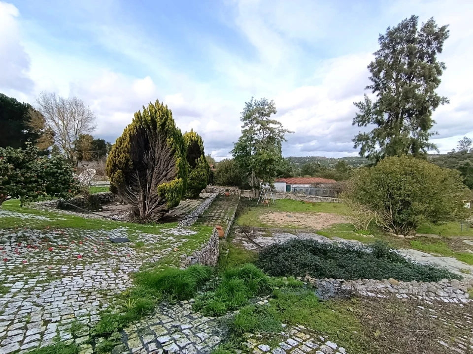 Quinta T11 para Venda em Bemposta Foto 64