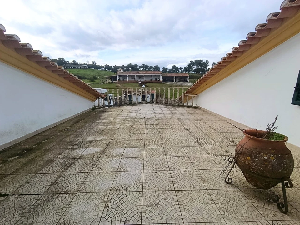 Quinta T11 para Venda em Bemposta Foto 70