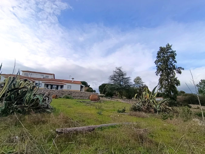 Quinta T11 para Venda em Bemposta Foto 38