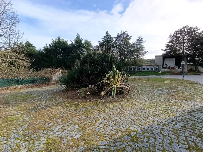 Quinta T11 para Venda em Bemposta Foto 53