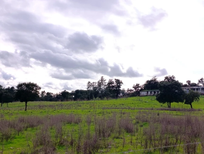 Quinta T11 para Venda em Bemposta Foto 57