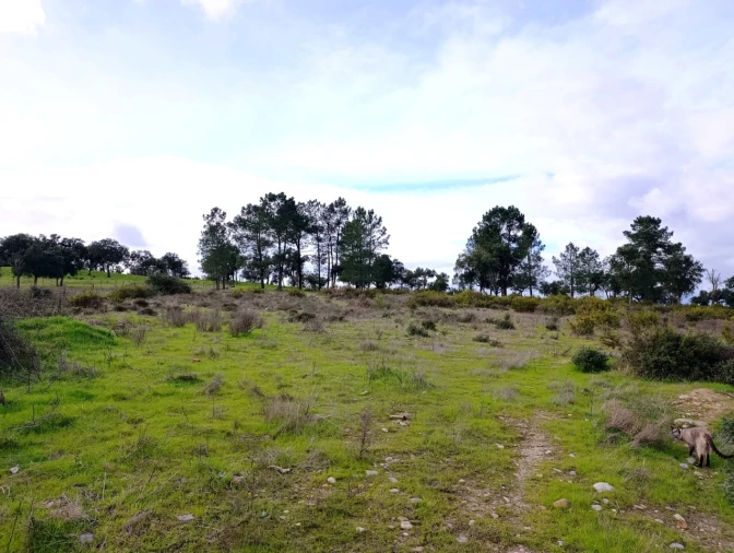 Quinta T11 para Venda em Bemposta Foto 61