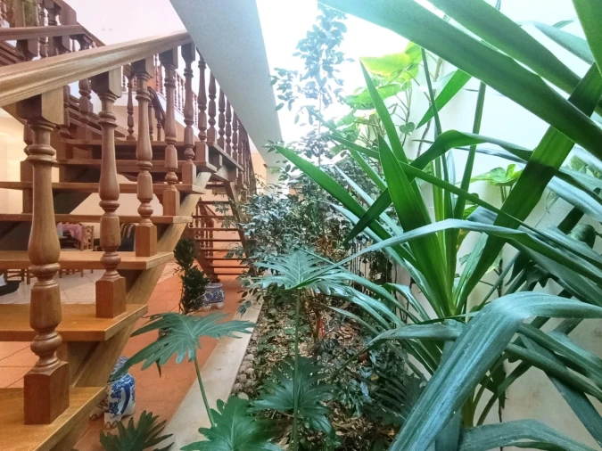 Quinta T11 para Venda em Bemposta Foto 18