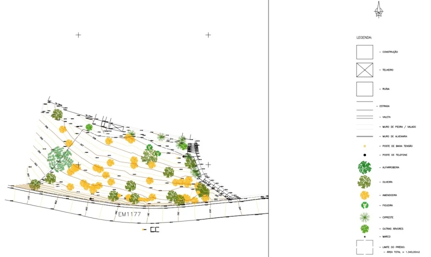 Terreno para Venda em Loule (São Sebastião) Planta 1