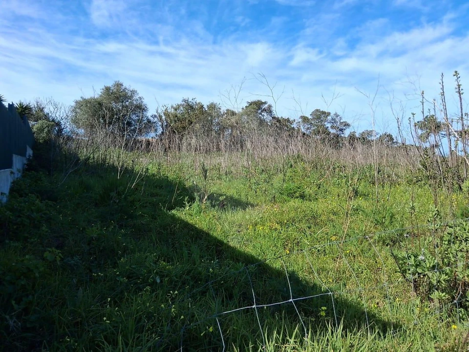 Terreno para Venda em Sesimbra (Castelo) Foto 3