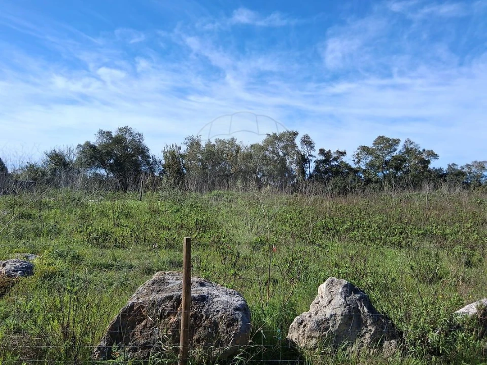 Terreno para Venda em Sesimbra (Castelo) Foto 1