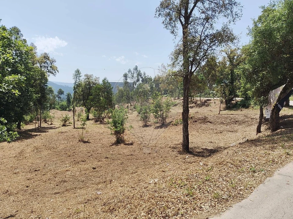 Terreno para Venda em Ossela Foto 1