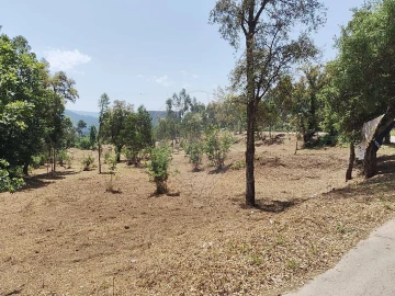 Terreno para Venda em Ossela