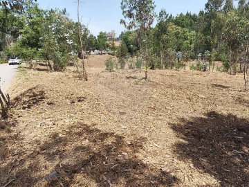 Terreno para Venda em Ossela