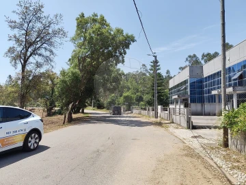 Terreno para Venda em Ossela