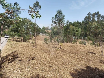 Terreno para Venda em Ossela