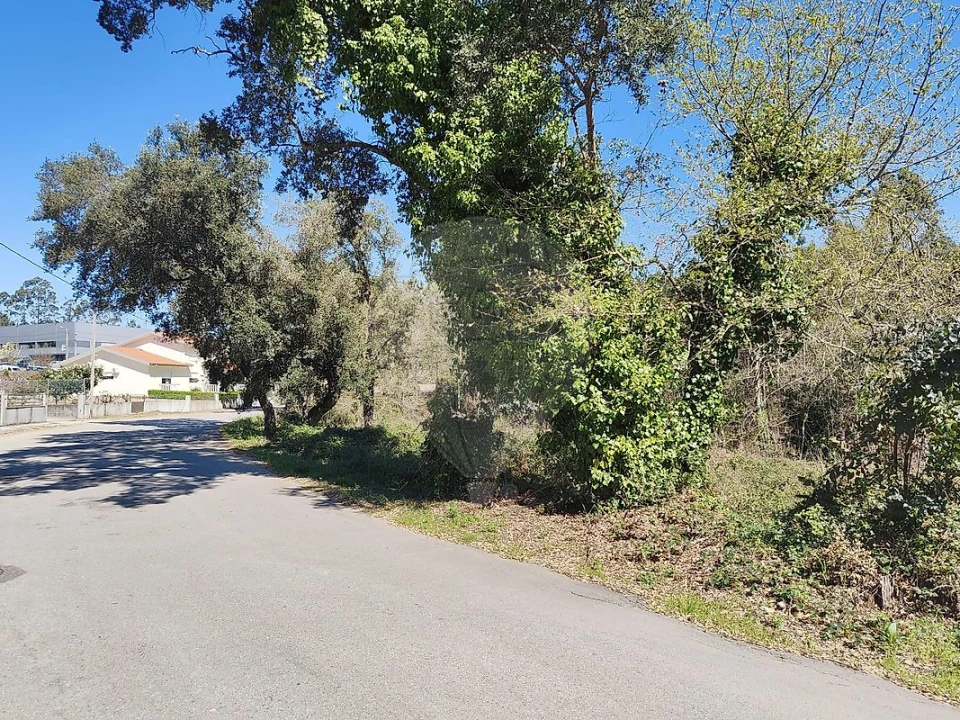 Terreno para Venda em Ossela Foto 5