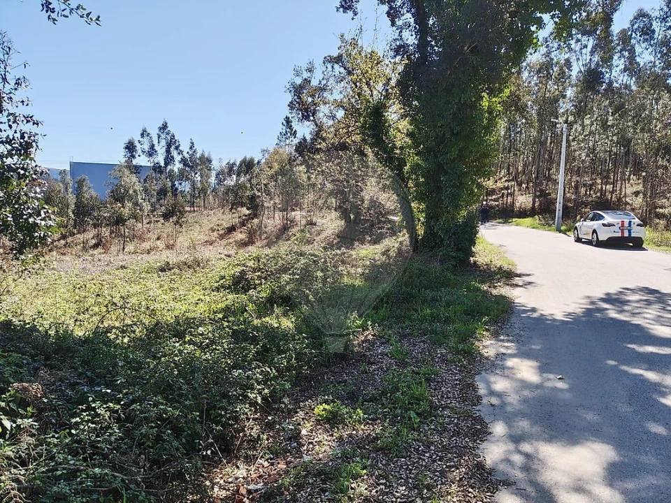 Terreno para Venda em Ossela Foto 7