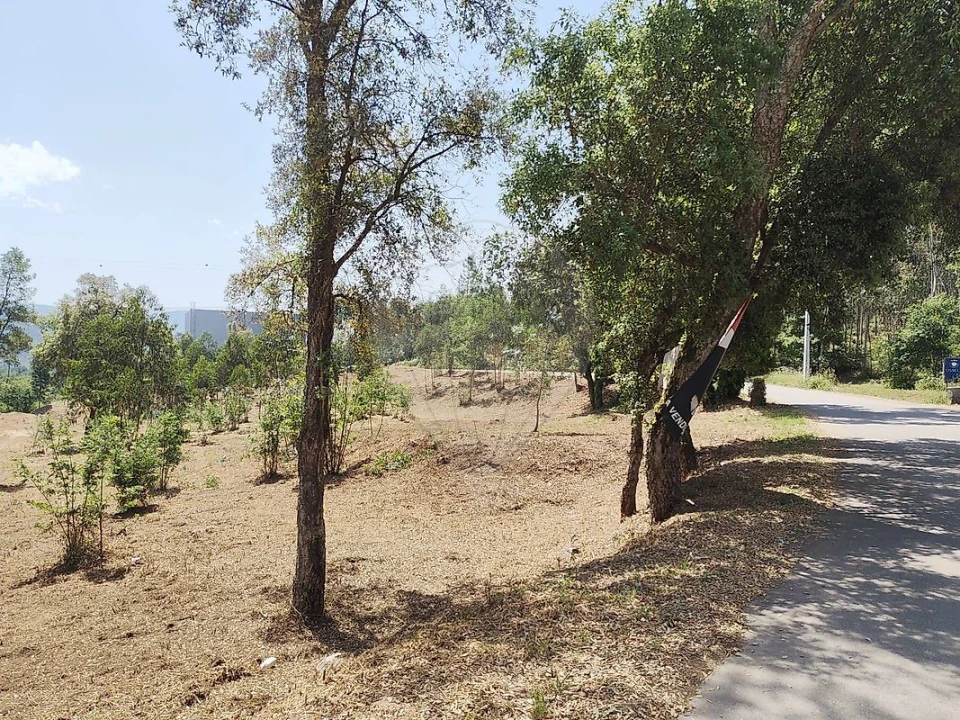 Terreno para Venda em Ossela Foto 5