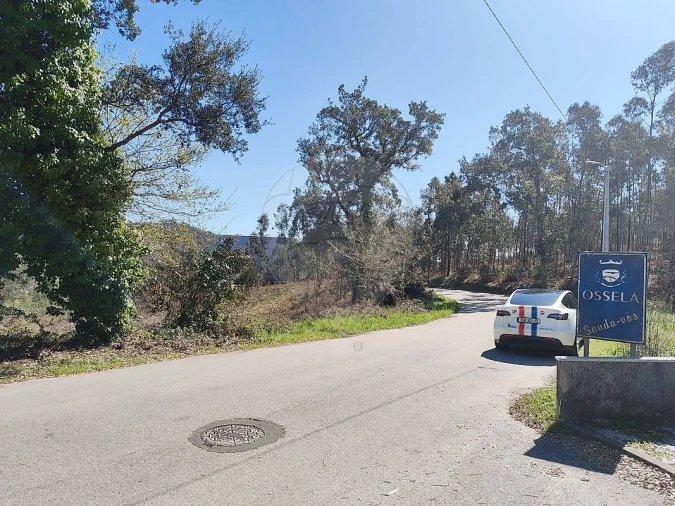 Terreno para Venda em Ossela Foto 4