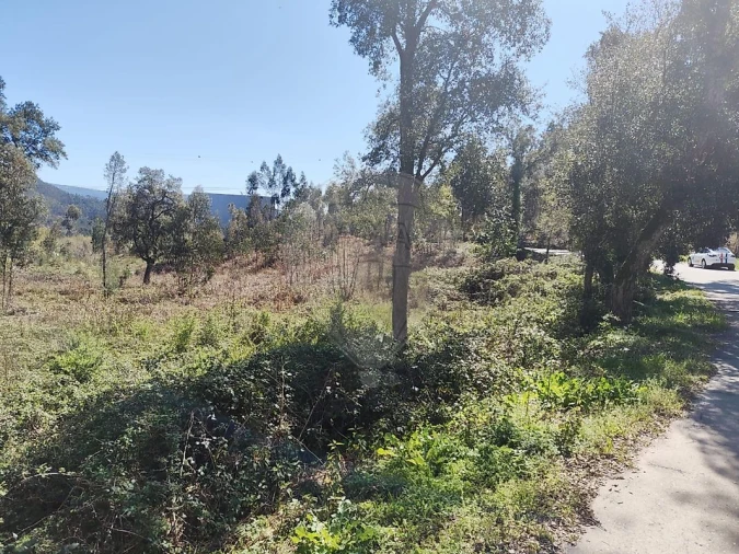 Terreno para Venda em Ossela Foto 1