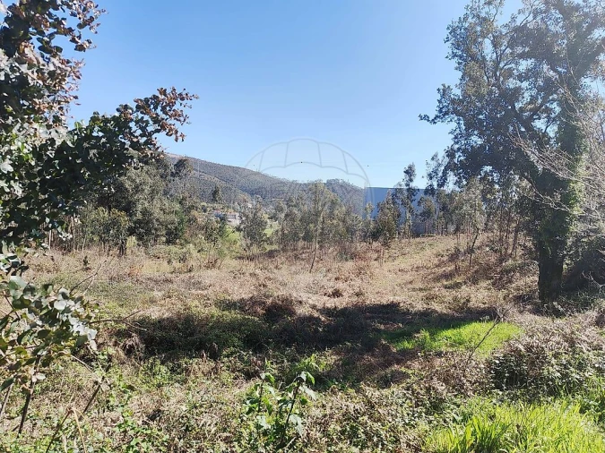 Terreno para Venda em Ossela Foto 3