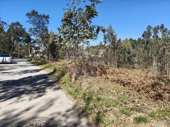 Terreno para Venda em Ossela Foto 8