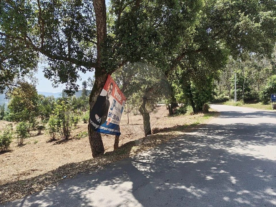 Terreno para Venda em Ossela Foto 4