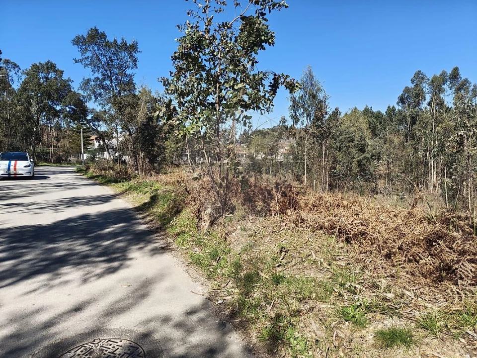 Terreno para Venda em Ossela Foto 8