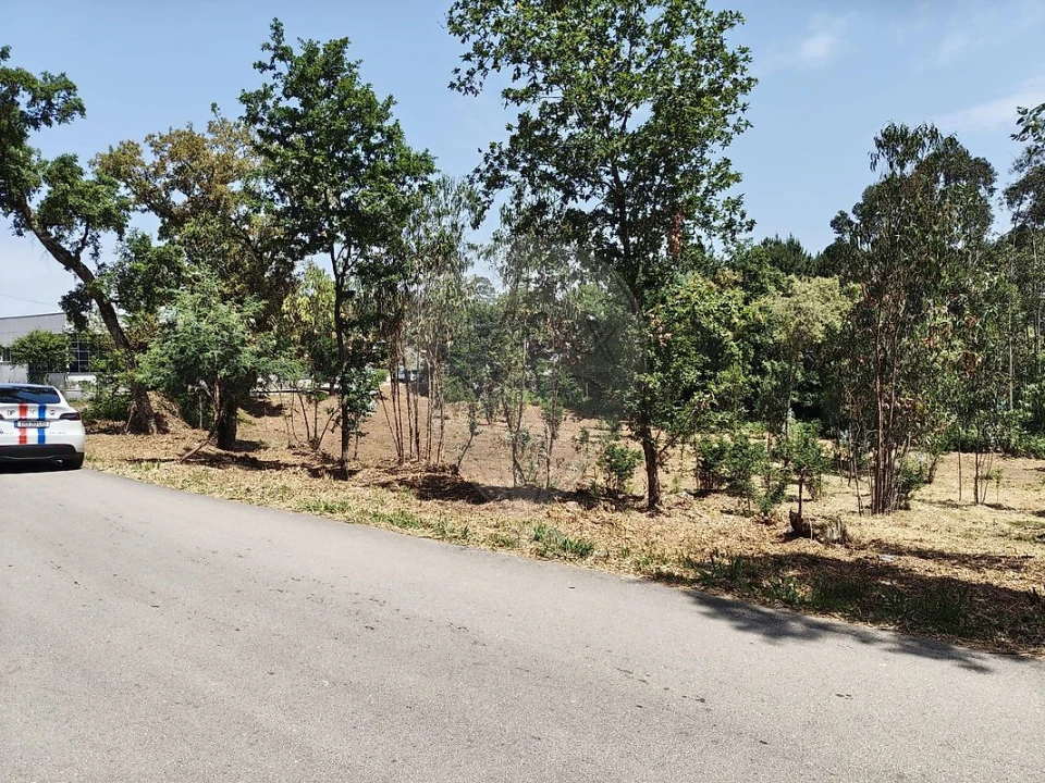 Terreno para Venda em Ossela Foto 10