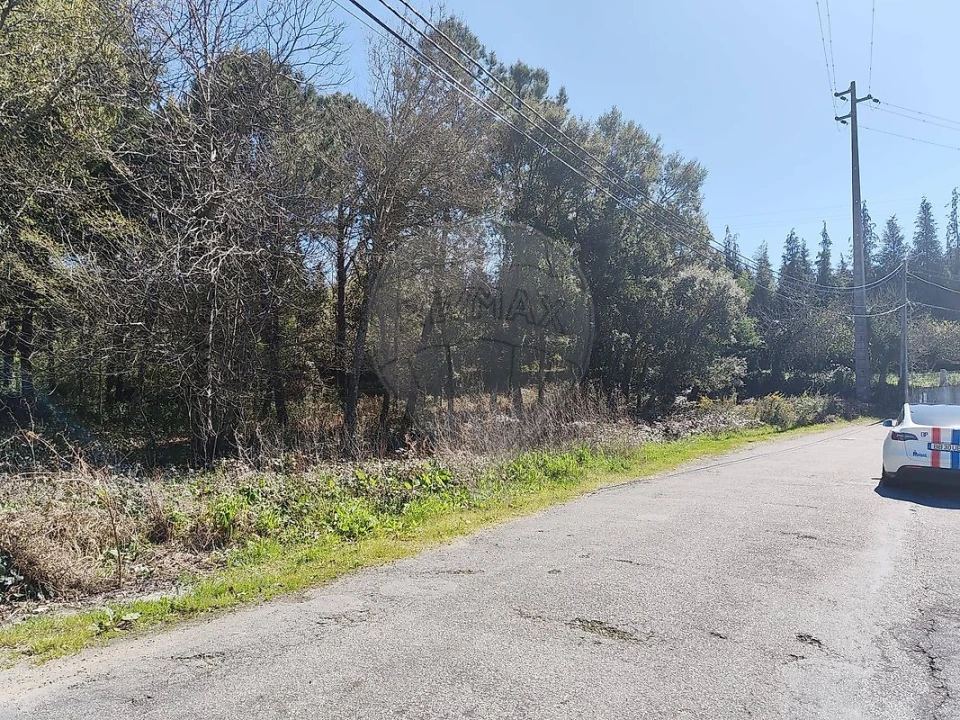 Terreno para Venda em Carregosa Foto 5