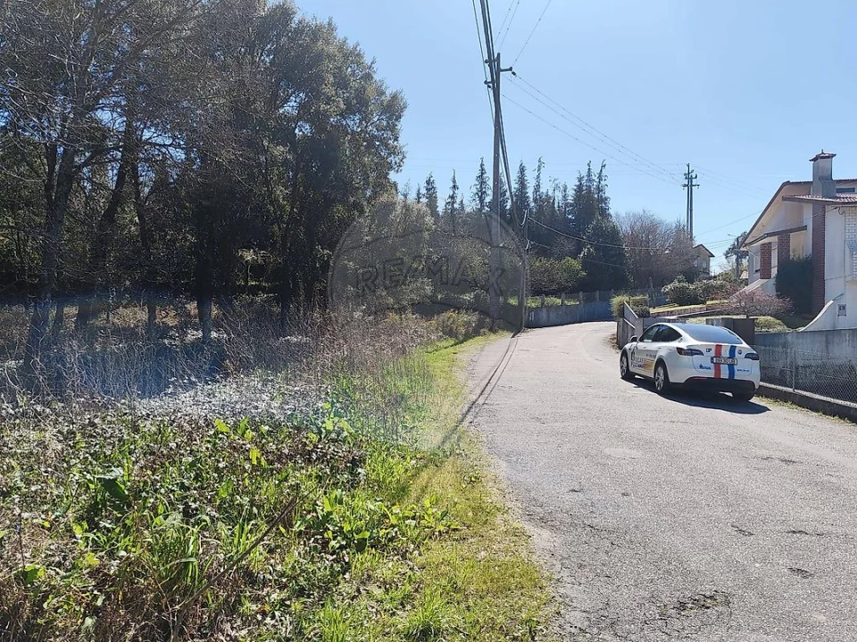 Terreno para Venda em Carregosa Foto 3